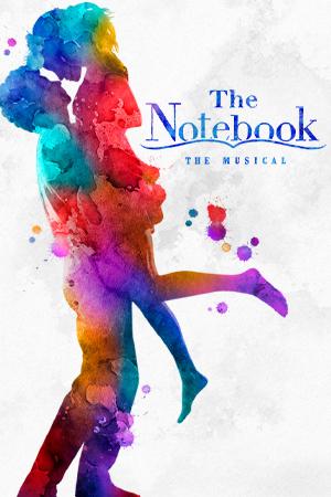 The Notebook Poster Image