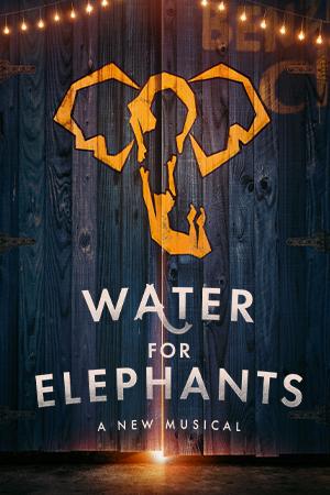 Water for Elephants Poster Image